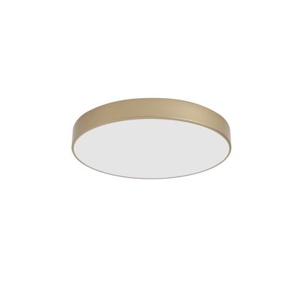 Brilagi - LED Stropní svítidlo POOL LED/60W/230V 3000/4000/6000K pr. 50 cm zlatá