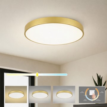 Brilagi - LED Stropní svítidlo POOL LED/60W/230V 3000/4000/6000K pr. 60 cm zlatá