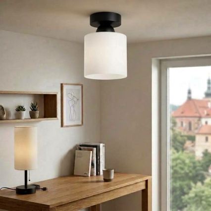 BRILAGI - LED Stropní svítidlo RETRO GLASS 1xE27/60W/230V pr. 10 cm černá/bílá