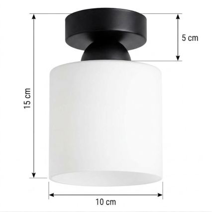 BRILAGI - LED Stropní svítidlo RETRO GLASS 1xE27/60W/230V pr. 10 cm černá/bílá