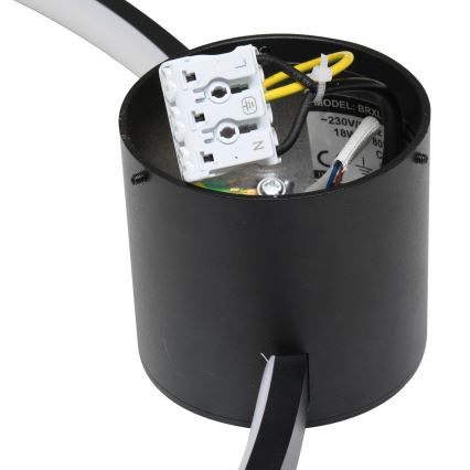 Brilagi - LED Stropní svítidlo RINGO LED/18W/230V