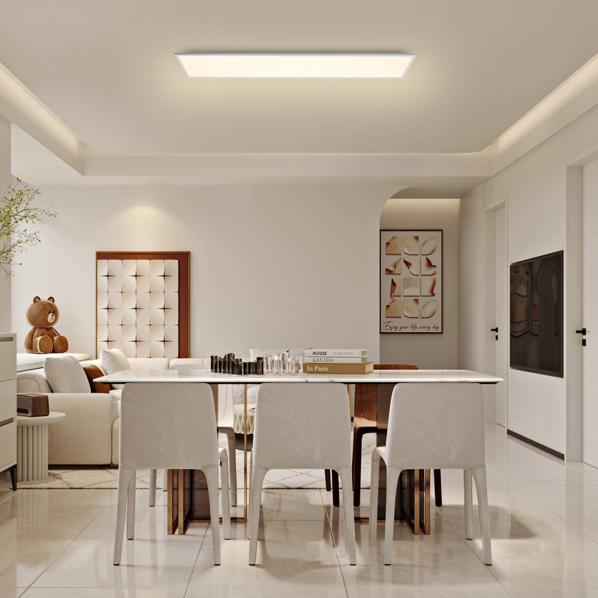 Brilagi - LED Stropní svítidlo SLIMFRAME LED/58W/230V 120x30 cm bílá