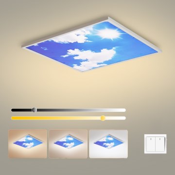 Brilagi - LED Stropní svítidlo SLIMFRAME LED/58W/230V 60x60 cm stříbrná/modrá