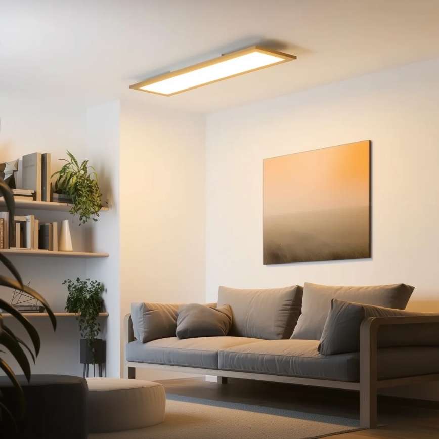 Brilagi - LED Stropní svítidlo SLIMFRAME WOOD LED/58W/230V 124x34 cm hnědá