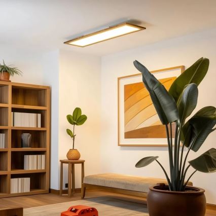 Brilagi - LED Stropní svítidlo SLIMFRAME WOOD LED/58W/230V 124x34 cm hnědá