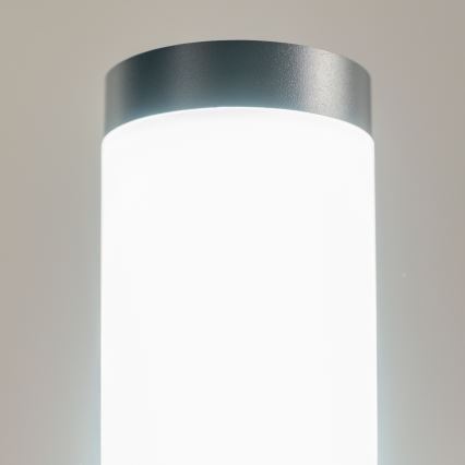 BRILAGI - LED Venkovní lampa ELIA 1xE27/7W/230V 4000K IP44 100 cm antracit