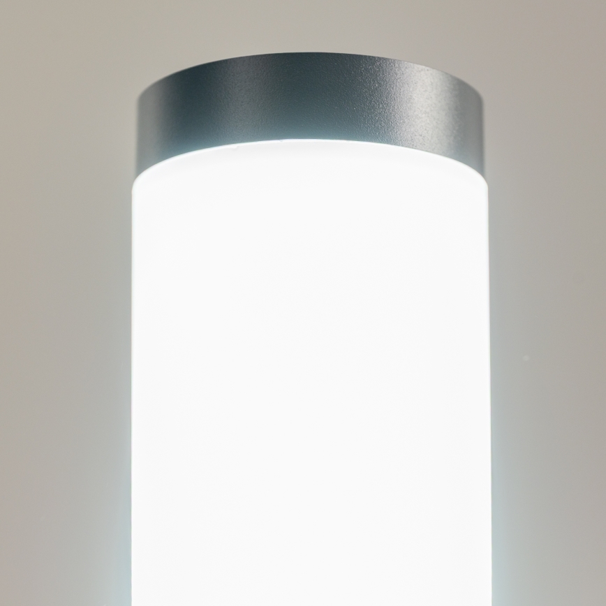 BRILAGI - LED Venkovní lampa ELIA 1xE27/7W/230V 4000K IP44 50 cm antracit