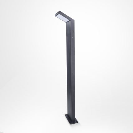 Brilagi - LED Venkovní lampa RIANO LED/8W/230V antracit IP65 80 cm