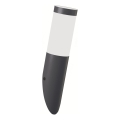 Brilagi - LED Venkovní nástěnná lampa ELIA 1xE27/7W/230V 4000K IP44 antracit
