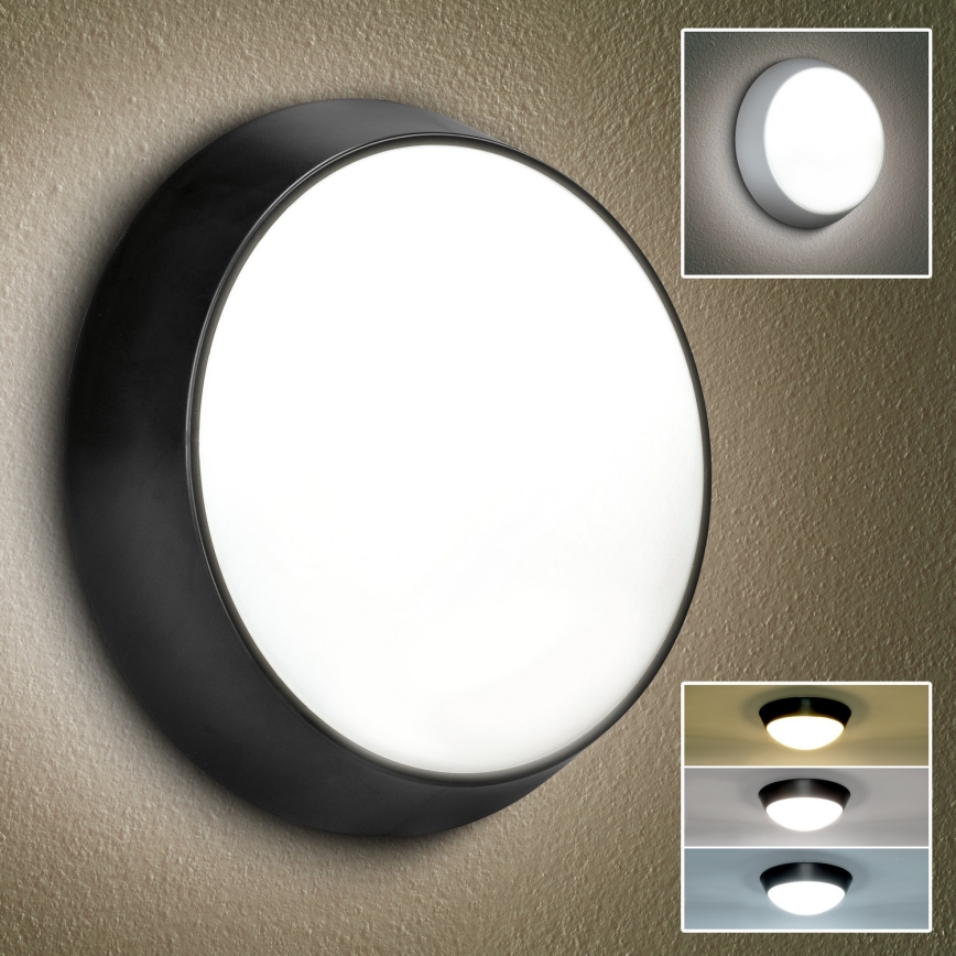 Brilagi - LED Venkovní nástěnné svítidlo 2v1 BULKHEAD LED/20W/230V 3000/4000/6000K IP65