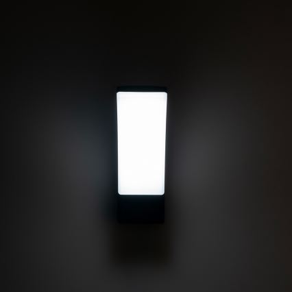 BRILAGI - LED Venkovní nástěnné svítidlo ARCELO LED/12W/230V IP65 černá