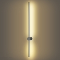 Brilagi - LED Venkovní nástěnné svítidlo AURA LED/20W/230V 3000K IP54 97 cm antracit