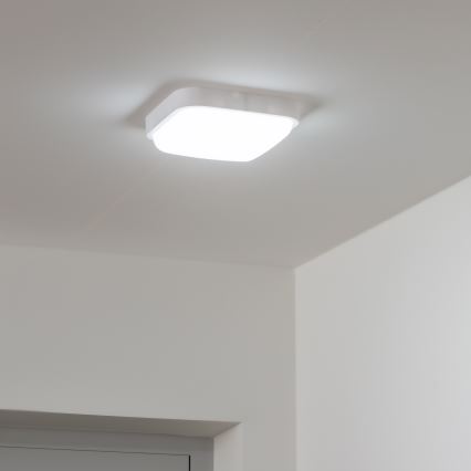 Brilagi - LED Venkovní nástěnné svítidlo LED/20W/230V IP54