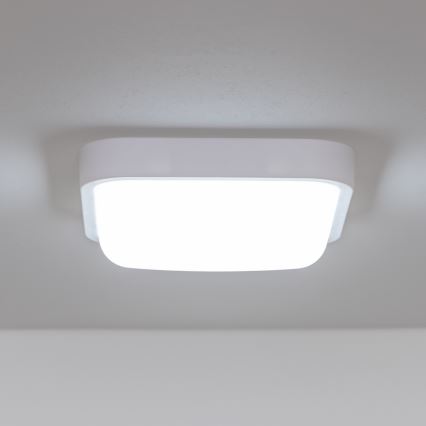 Brilagi - LED Venkovní nástěnné svítidlo LED/20W/230V IP54