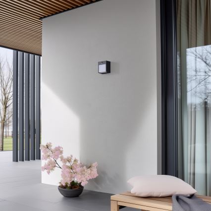Brilagi - LED Venkovní nástěnné svítidlo se senzorem TERNI LED/12W/230V antracit IP44