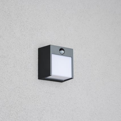 Brilagi - LED Venkovní nástěnné svítidlo se senzorem TERNI LED/12W/230V antracit IP44