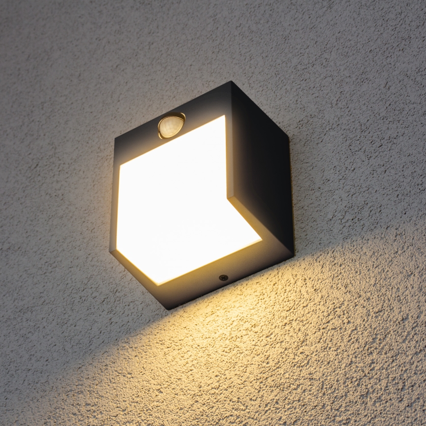 Brilagi - LED Venkovní nástěnné svítidlo se senzorem TERNI LED/12W/230V antracit IP44