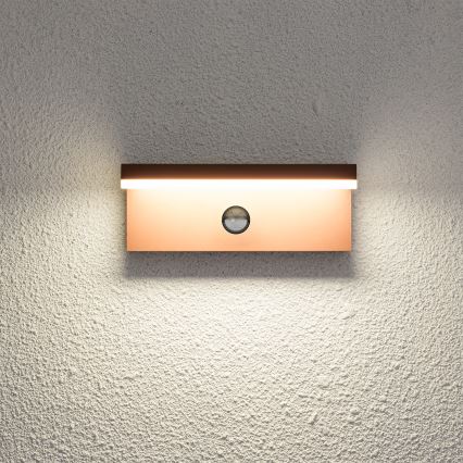 Brilagi - LED Venkovní nástěnné svítidlo se senzorem TESSI LED/10W/230V hnědá IP54