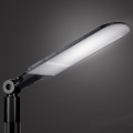 Brilagi - LED Venkovní pouliční lampa URBANLIGHT LED/250W/230V černá IP65