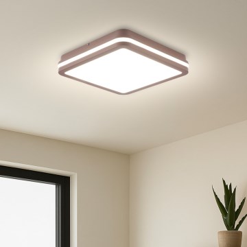 Brilagi - LED Venkovní stropní svítidlo BENE LED/24W/230V 26x26 cm hnědá IP54