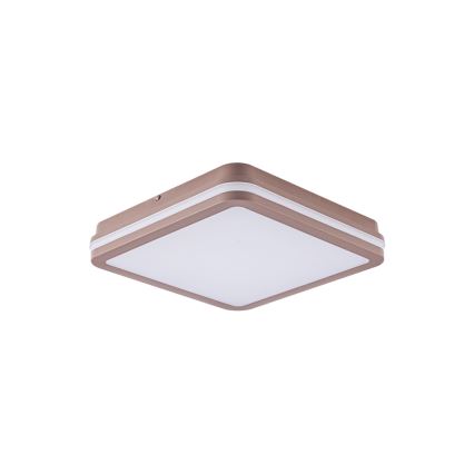 Brilagi - LED Venkovní stropní svítidlo BENE LED/24W/230V 26x26 cm hnědá IP54