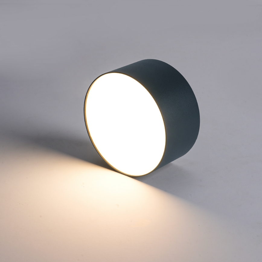 BRILAGI - LED Venkovní stropní svítidlo FORIS LED/14W/230V pr. 12 cm antracit IP44