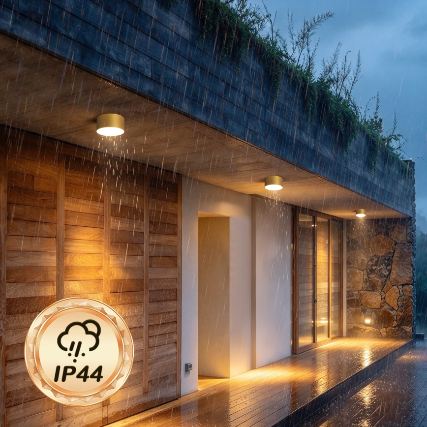 BRILAGI - LED Venkovní stropní svítidlo FORIS LED/14W/230V pr. 12 cm zlatá IP44