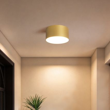 BRILAGI - LED Venkovní stropní svítidlo FORIS LED/14W/230V pr. 12 cm zlatá IP44