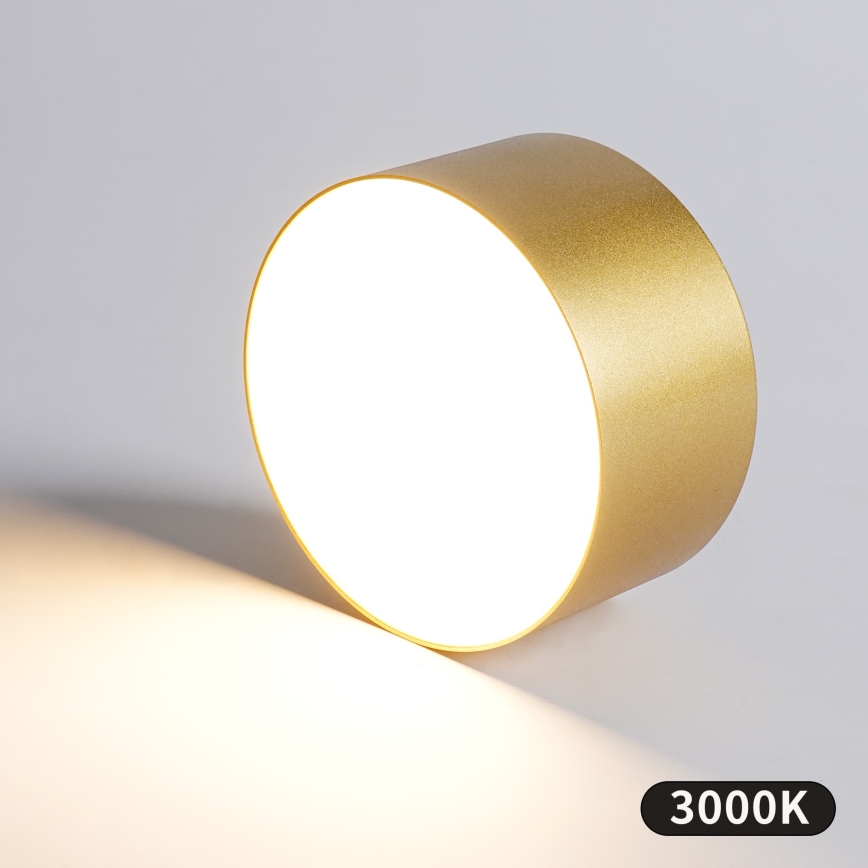 BRILAGI - LED Venkovní stropní svítidlo FORIS LED/14W/230V pr. 12 cm zlatá IP44