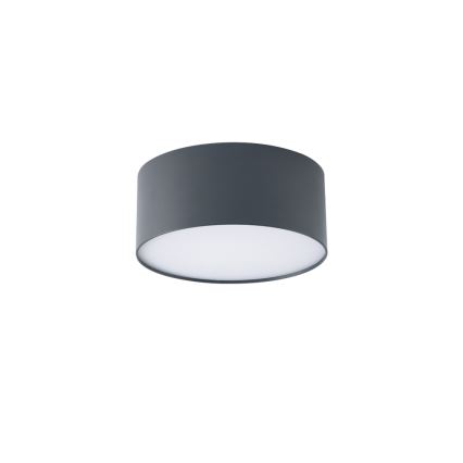 BRILAGI - LED Venkovní stropní svítidlo FORIS LED/20W/230V pr. 15 cm antracit IP44