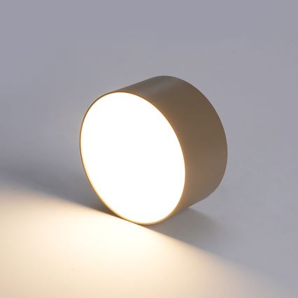 BRILAGI - LED Venkovní stropní svítidlo FORIS LED/20W/230V pr. 15 cm béžová IP44