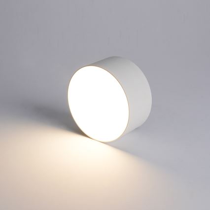 BRILAGI - LED Venkovní stropní svítidlo FORIS LED/9W/230V pr. 9 cm bílá IP44