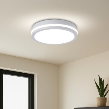 Brilagi - LED Venkovní stropní svítidlo se senzorem BENE LED/24W/230V pr. 26 cm bílá IP54