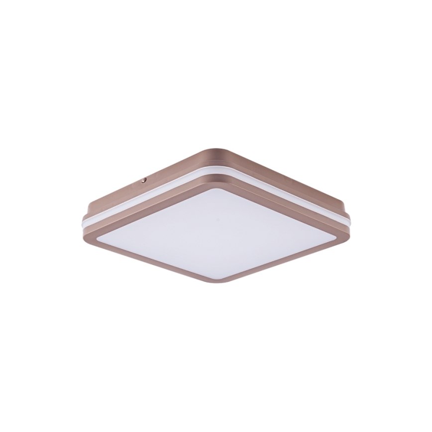 Brilagi - LED Venkovní stropní svítidlo se senzorem BENE LED/24W/230V 26x26 cm hnědá IP54