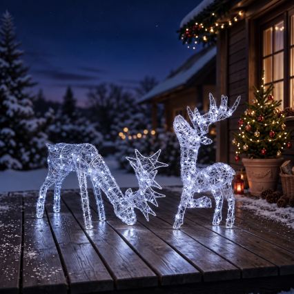 BRILAGI - LED Venkovní vánoční dekorace LED/3,3W/230V IP44 60x37 cm sob