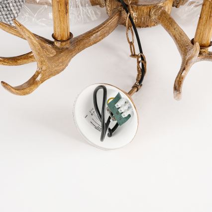 Brilagi - Lustr na řetězu DEER 6xE14/10W/230V pr. 80 cm paroží