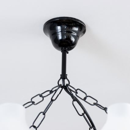 Brilagi - Lustr na řetězu QUEEN 8xE14/40W/230V buk/ořech