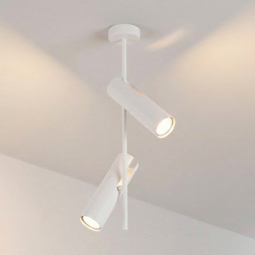 Brilagi - Lustr na tyči BRANCH 2xGU10/30W/230V bílá