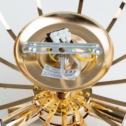 Brilagi - Přisazený lustr CRYSTAL 6xE14/60W/230V zlatá