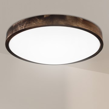 Brilagi - Stropní svítidlo CARVALHO SMOKEY 3xE27/60W/230V dub pr. 47,5 cm