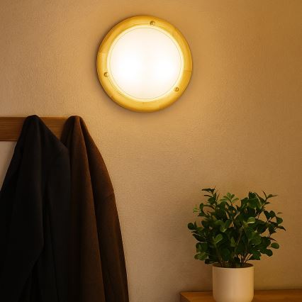 Brilagi - Stropní svítidlo ORBIS 1xE27/60W/230V pr. 30 cm borovice