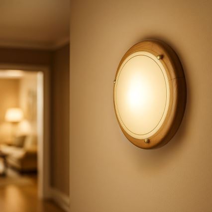 Brilagi - Stropní svítidlo ORBIS 1xE27/60W/230V pr. 30 cm borovice