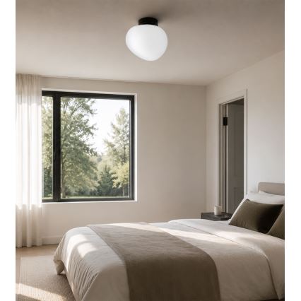 BRILAGI - Stropní svítidlo PEBBLES 1xE27/40W/230V pr. 20 cm černá