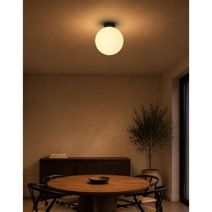 BRILAGI - Stropní svítidlo POLOS 1xE27/40W/230V pr. 30 cm černá