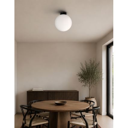 BRILAGI - Stropní svítidlo POLOS 1xE27/40W/230V pr. 30 cm černá