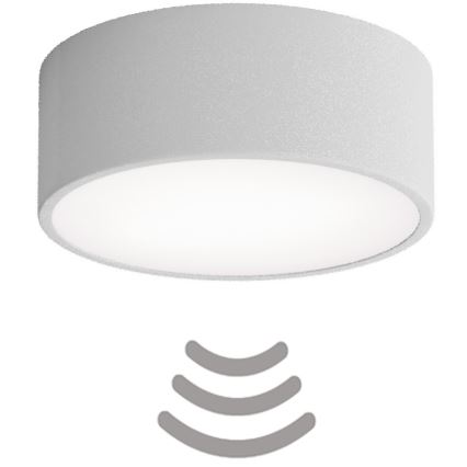 Brilagi - Stropní svítidlo se senzorem CLARE 1xE27/24W/230V pr. 20 cm šedá