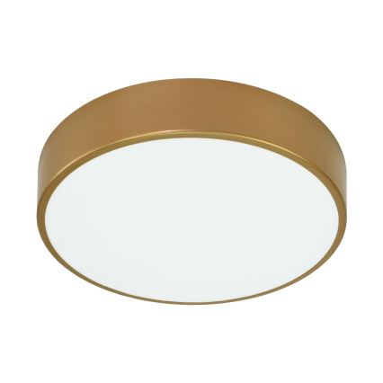 Brilagi - Stropní svítidlo se senzorem CLARE 3xE27/24W/230V pr. 40 cm zlatá
