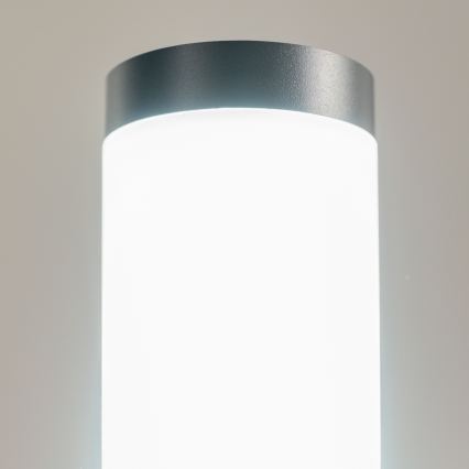 BRILAGI - Venkovní lampa se senzorem ELIA 1xE27/20W/230V IP44 50 cm antracit