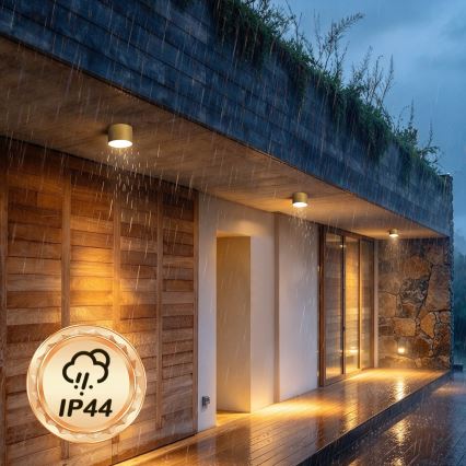 BRILAGI - Venkovní stropní svítidlo FORIS LED/9W/230V pr. 9 cm zlatá IP44