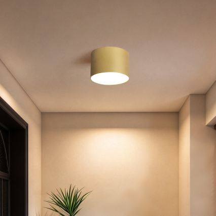 BRILAGI - Venkovní stropní svítidlo FORIS LED/9W/230V pr. 9 cm zlatá IP44